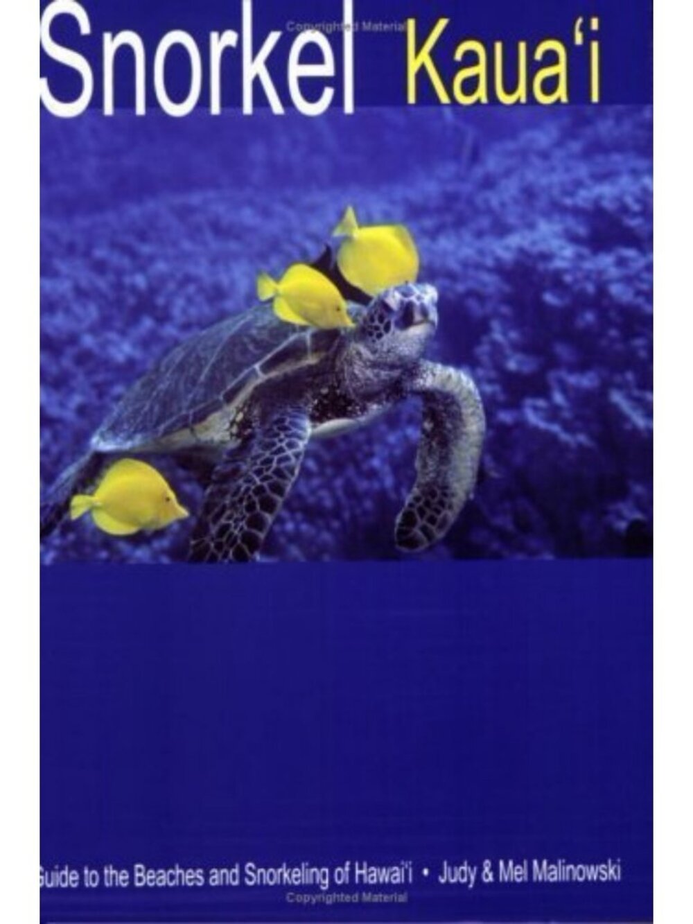 Ultimate Snorkeling Guide to Kauai Beaches & Underwater Adventures in Hawaii
